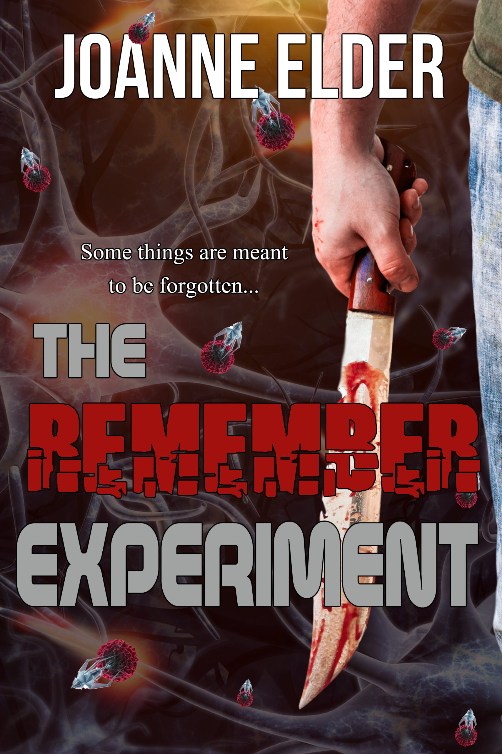 3d book display image of The Remember Experiment